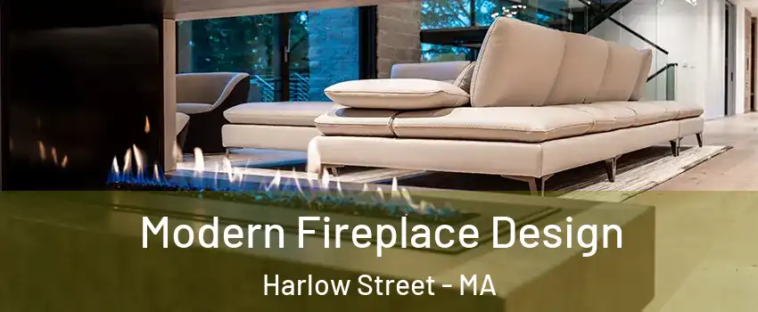 Modern Fireplace Design Harlow Street - MA