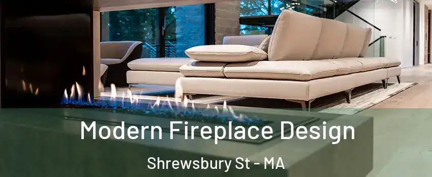 Modern Fireplace Design Shrewsbury St - MA