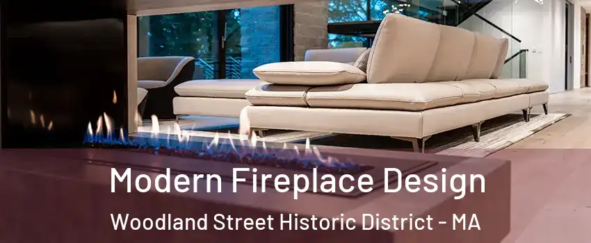 Modern Fireplace Design Woodland Street Historic District - MA