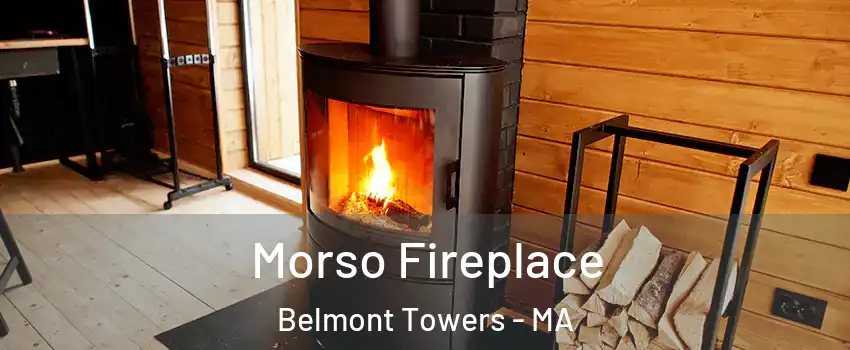 Morso Fireplace Belmont Towers - MA