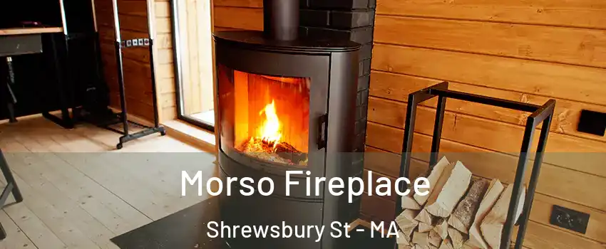 Morso Fireplace Shrewsbury St - MA