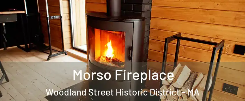 Morso Fireplace Woodland Street Historic District - MA