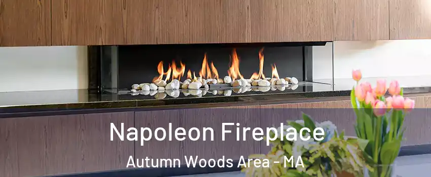 Napoleon Fireplace Autumn Woods Area - MA