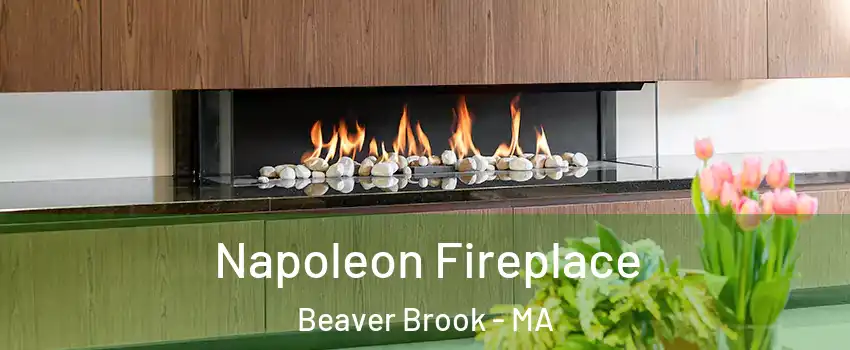 Napoleon Fireplace Beaver Brook - MA