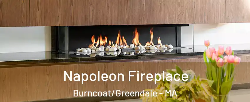 Napoleon Fireplace Burncoat/Greendale - MA