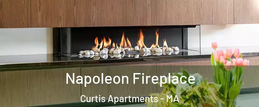 Napoleon Fireplace Curtis Apartments - MA