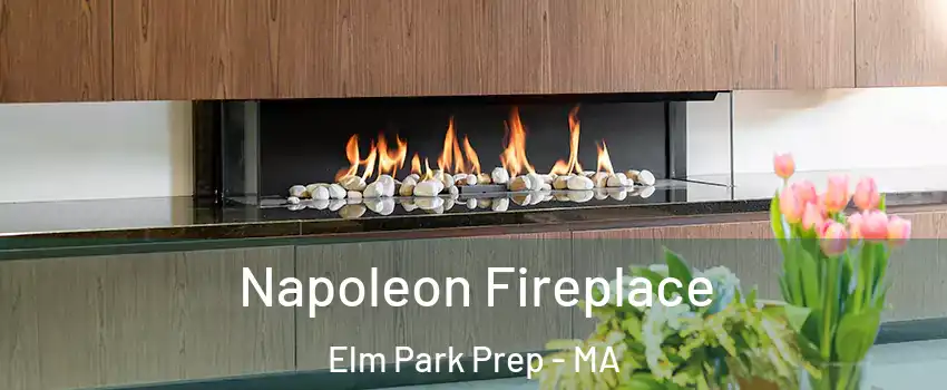 Napoleon Fireplace Elm Park Prep - MA