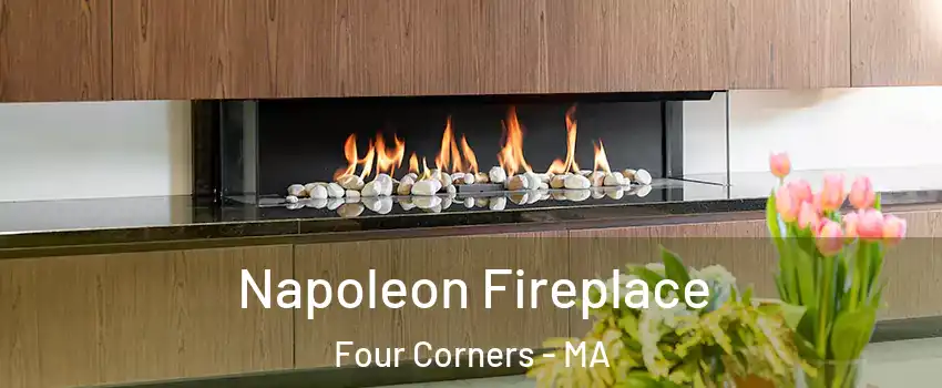 Napoleon Fireplace Four Corners - MA