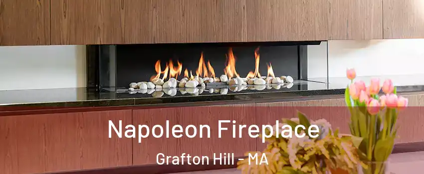 Napoleon Fireplace Grafton Hill - MA