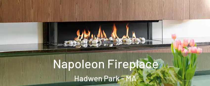 Napoleon Fireplace Hadwen Park - MA