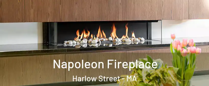 Napoleon Fireplace Harlow Street - MA