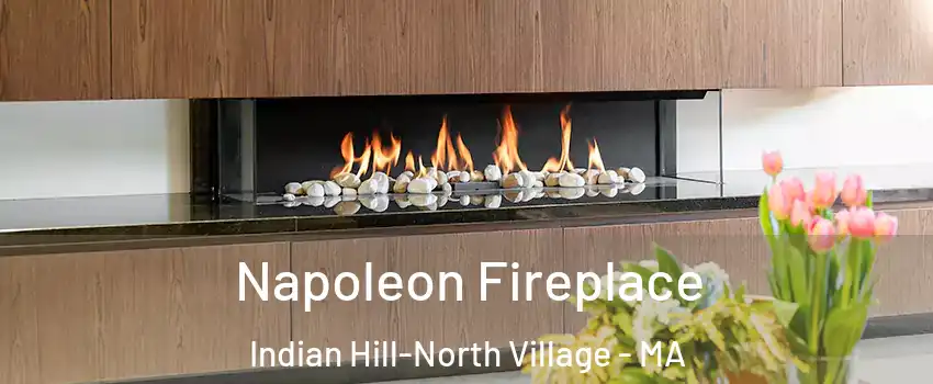 Napoleon Fireplace Indian Hill-North Village - MA