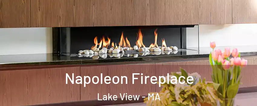 Napoleon Fireplace Lake View - MA