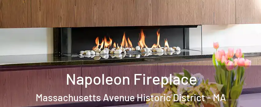 Napoleon Fireplace Massachusetts Avenue Historic District - MA