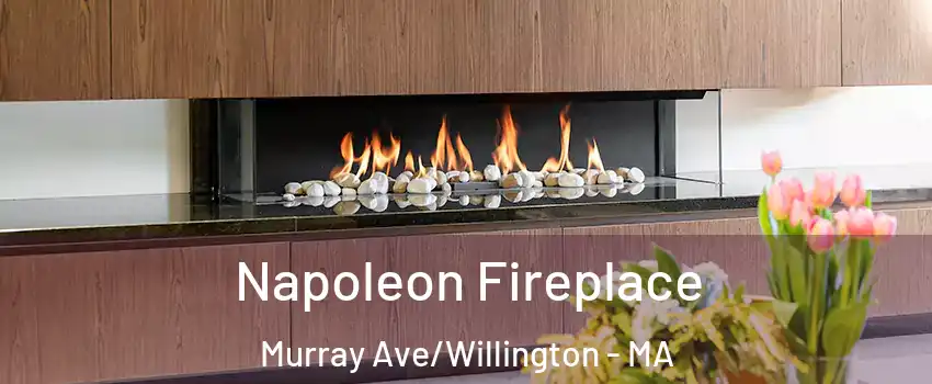 Napoleon Fireplace Murray Ave/Willington - MA