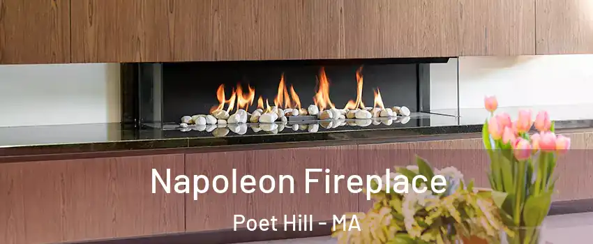 Napoleon Fireplace Poet Hill - MA