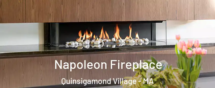 Napoleon Fireplace Quinsigamond Village - MA