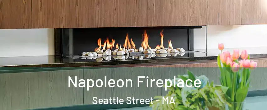 Napoleon Fireplace Seattle Street - MA