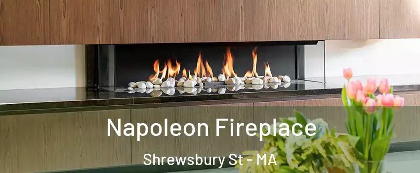 Napoleon Fireplace Shrewsbury St - MA