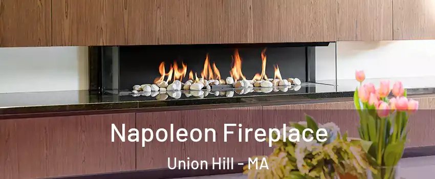 Napoleon Fireplace Union Hill - MA