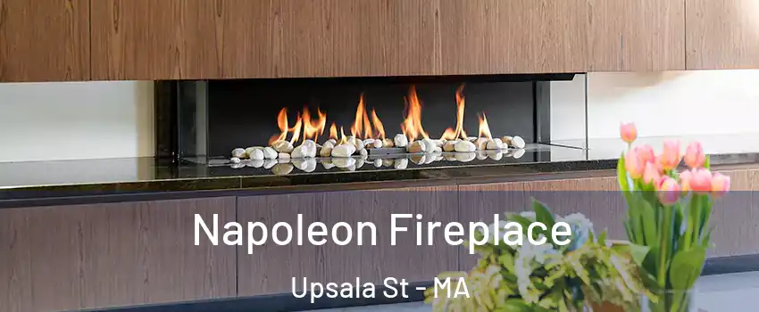 Napoleon Fireplace Upsala St - MA