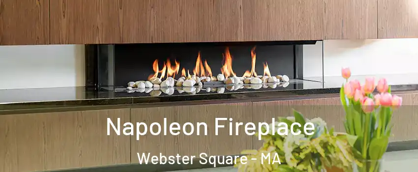 Napoleon Fireplace Webster Square - MA