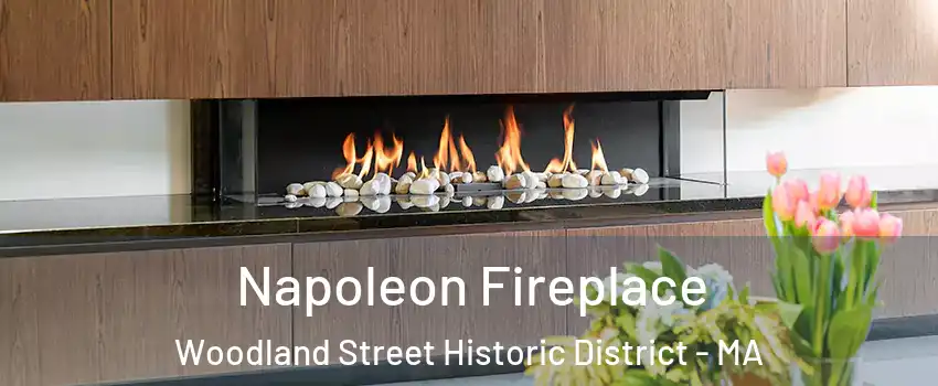 Napoleon Fireplace Woodland Street Historic District - MA