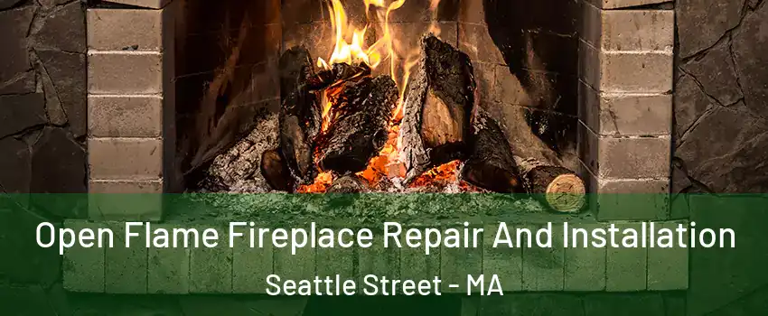 Open Flame Fireplace Repair And Installation Seattle Street - MA