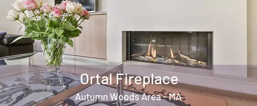 Ortal Fireplace Autumn Woods Area - MA