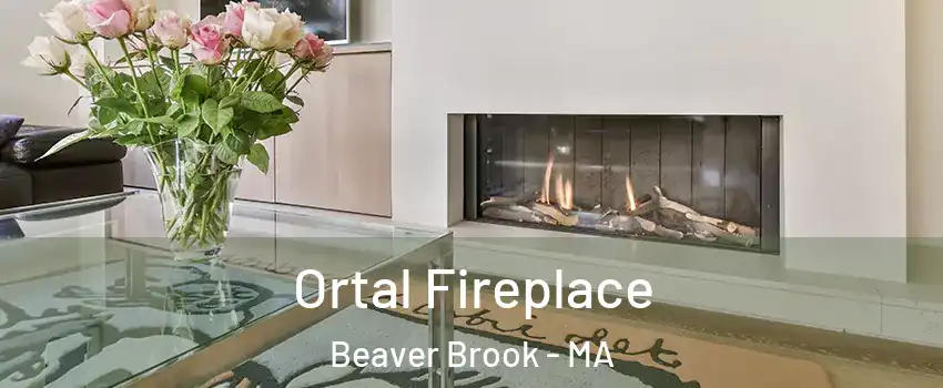 Ortal Fireplace Beaver Brook - MA