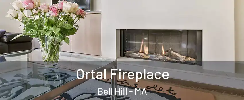 Ortal Fireplace Bell Hill - MA