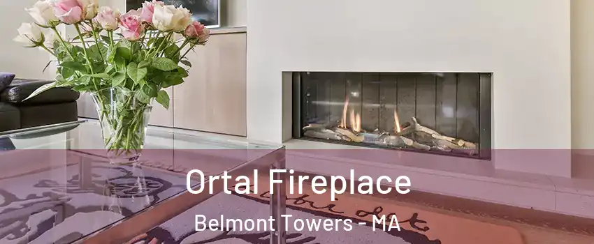 Ortal Fireplace Belmont Towers - MA