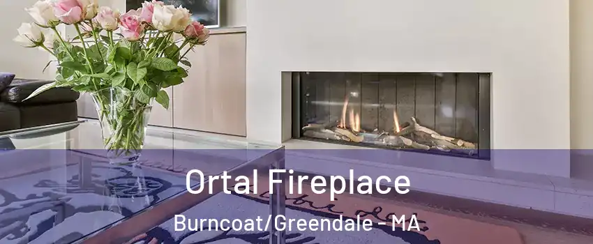 Ortal Fireplace Burncoat/Greendale - MA