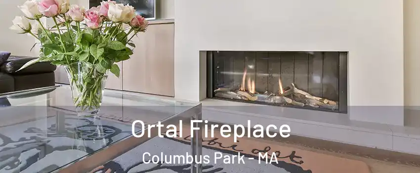 Ortal Fireplace Columbus Park - MA