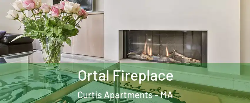 Ortal Fireplace Curtis Apartments - MA