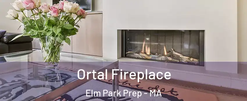 Ortal Fireplace Elm Park Prep - MA