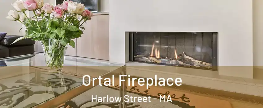 Ortal Fireplace Harlow Street - MA