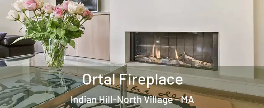 Ortal Fireplace Indian Hill-North Village - MA