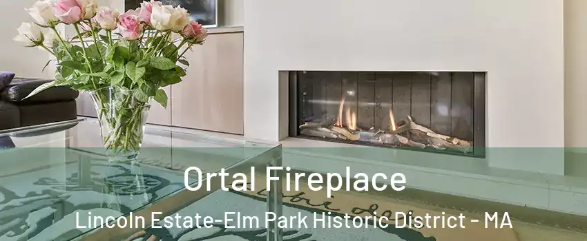 Ortal Fireplace Lincoln Estate-Elm Park Historic District - MA