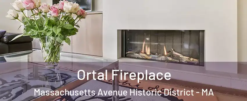 Ortal Fireplace Massachusetts Avenue Historic District - MA