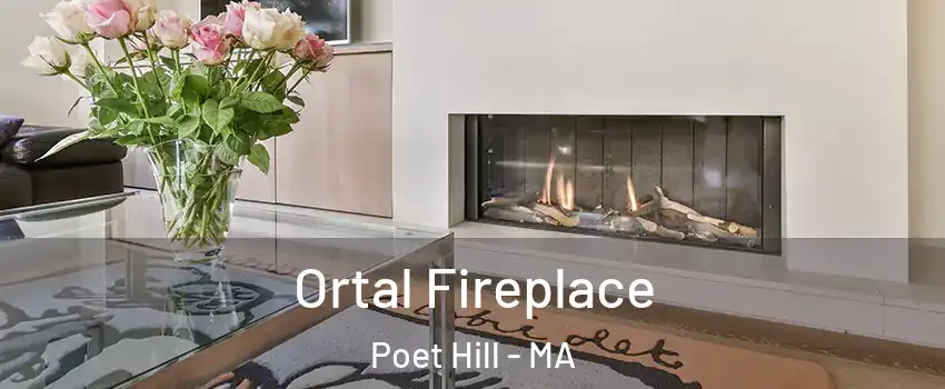 Ortal Fireplace Poet Hill - MA