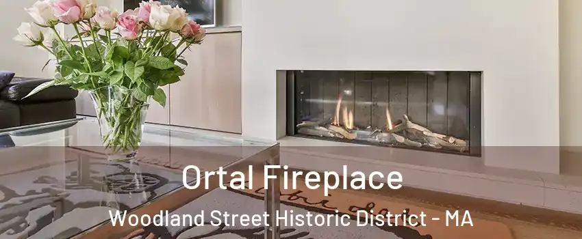 Ortal Fireplace Woodland Street Historic District - MA