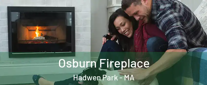 Osburn Fireplace Hadwen Park - MA