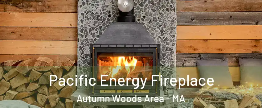 Pacific Energy Fireplace Autumn Woods Area - MA