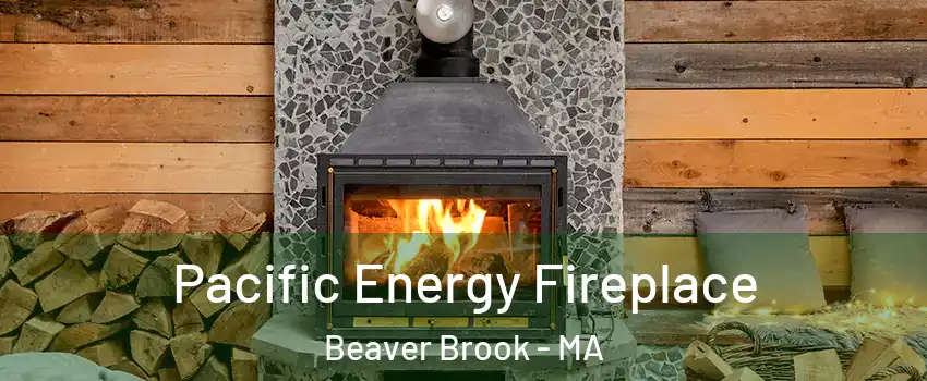 Pacific Energy Fireplace Beaver Brook - MA