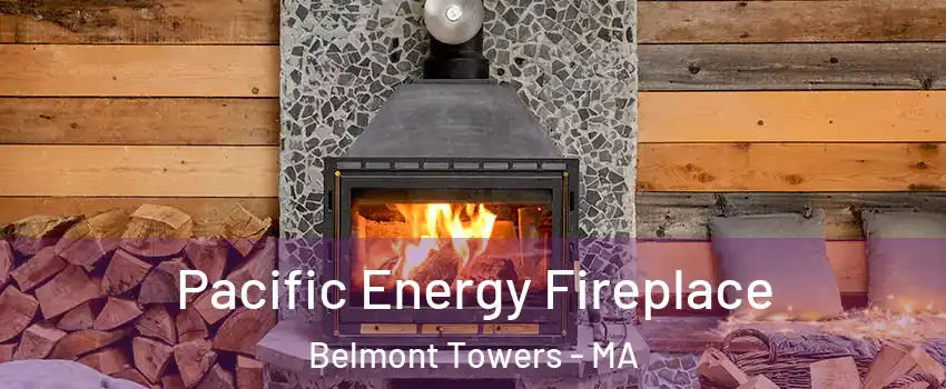 Pacific Energy Fireplace Belmont Towers - MA