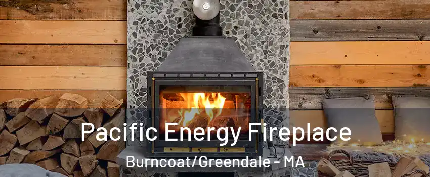 Pacific Energy Fireplace Burncoat/Greendale - MA