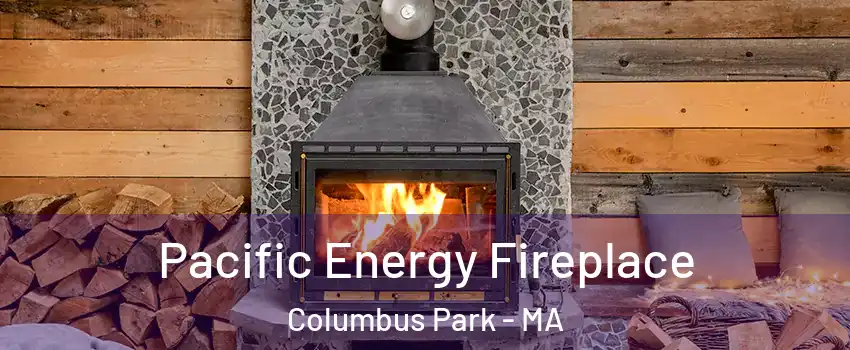 Pacific Energy Fireplace Columbus Park - MA