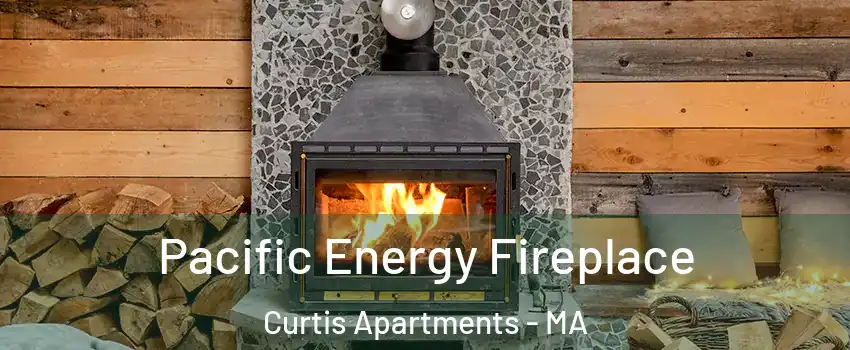 Pacific Energy Fireplace Curtis Apartments - MA