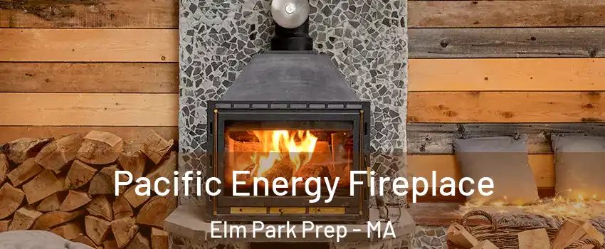 Pacific Energy Fireplace Elm Park Prep - MA